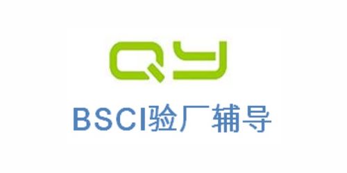 ICS驗(yàn)廠2021全面解讀與上海傾禹企業(yè)管理咨詢的專業(yè)服務(wù)推薦