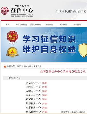 2020最新版全面介紹 個人征信報告查詢指南與征信狀態解析